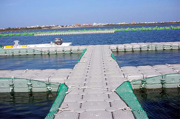 Cubos Flotantes para Jaula